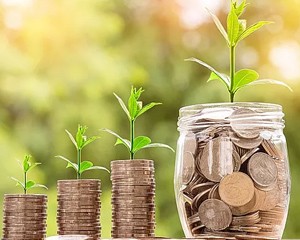 投资者关系_1734601506785