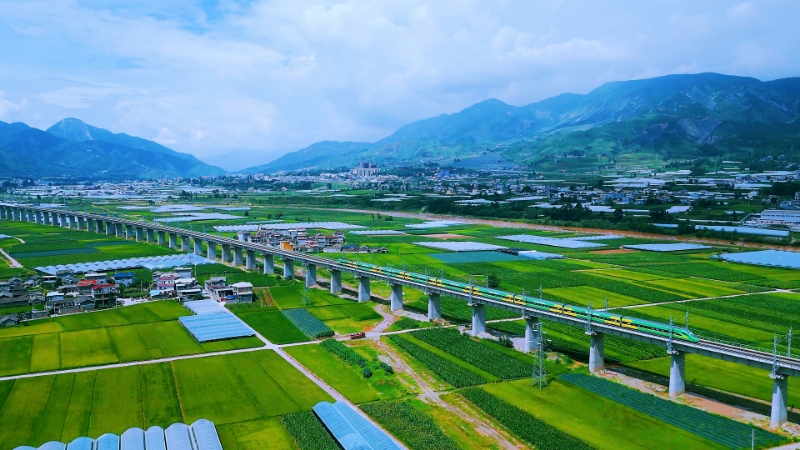 微信图片_20250515160338_15_1747296242920